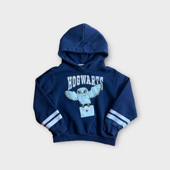 H&M x Harry Potter Hogwarts Hedwig Mail Blue Sweatshirt - Picture 1 of 4